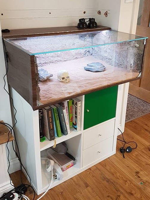 Sand Gecko Enclosure